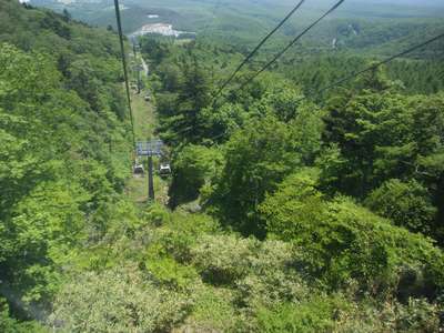 grp0603103117.jpg 400��300 24K
